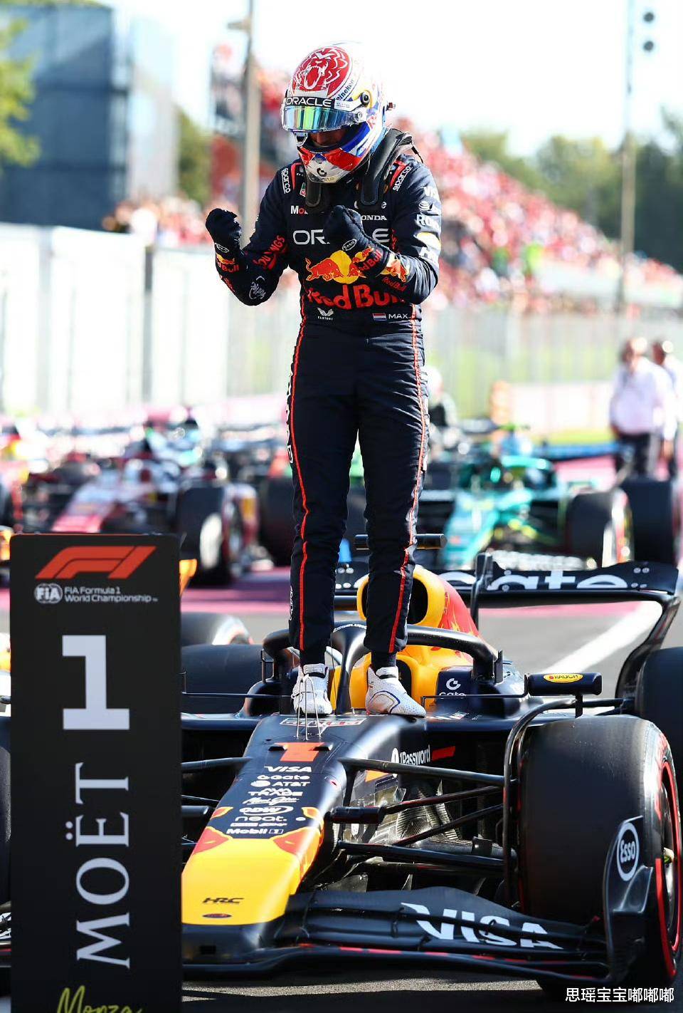 红牛车队完胜索伯车队，汉密尔顿点燃赛场